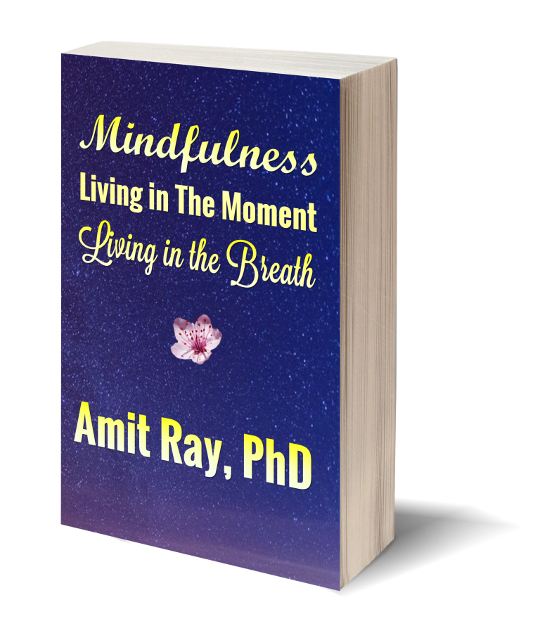 Mindfulness by Sri Amit Ray - book cover