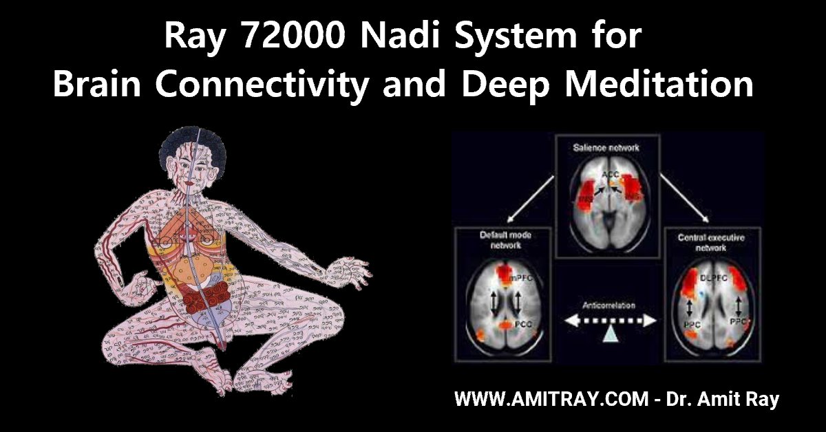 72000 nadis for Deep Meditation and Brain Sri Amit Ray Teachings