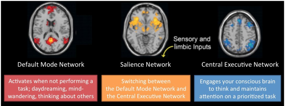Brain creativity three network areas