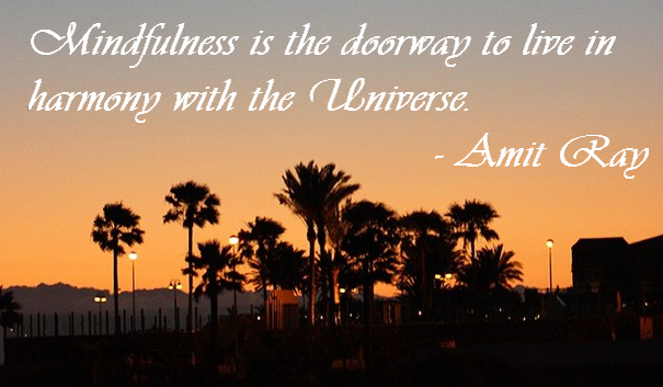Day 8: Living in Harmony with the Universe