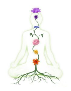 chakra flowers and petals