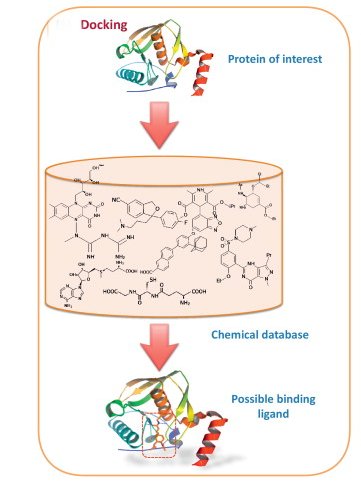 7 Limitations of Molecular Docking & Computer Aided Drug Design and Discovery