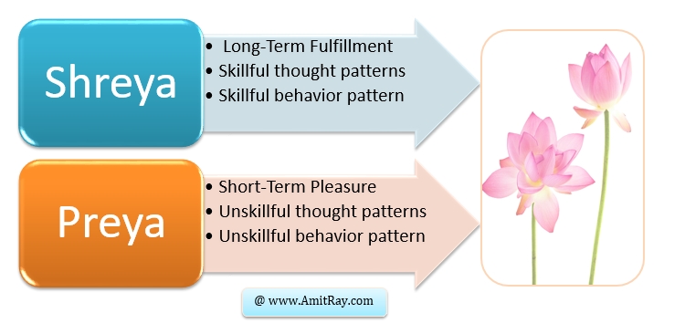 Shreya (Long Term) vs Preya (Short Term) Fulfillment: The Art of Happy Living