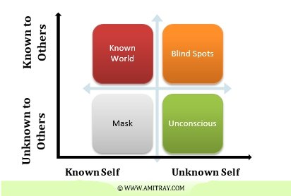 Leadership Blind Spot Window