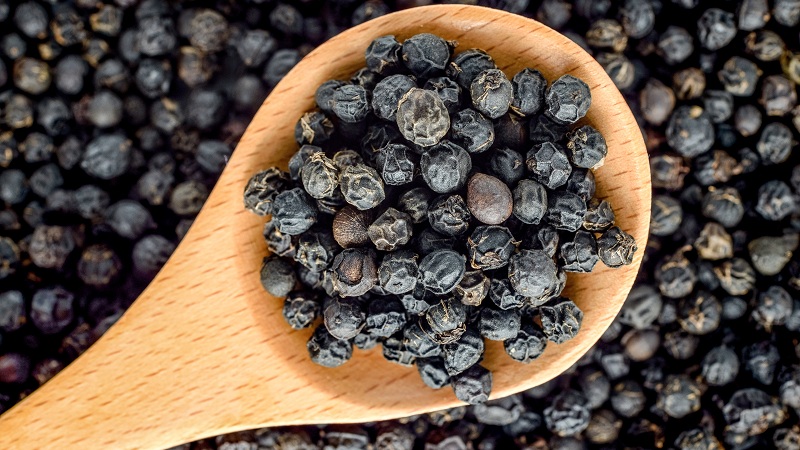 Black Pepper Immunity