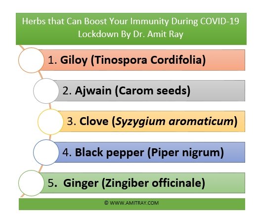Herbs that Can Boost Your Immunity During COVID-19 Lockdown