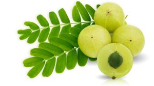 Amla fruits