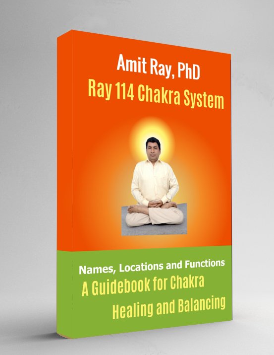 Ray 114 Chakra System by Sri Amit Ray - book cover