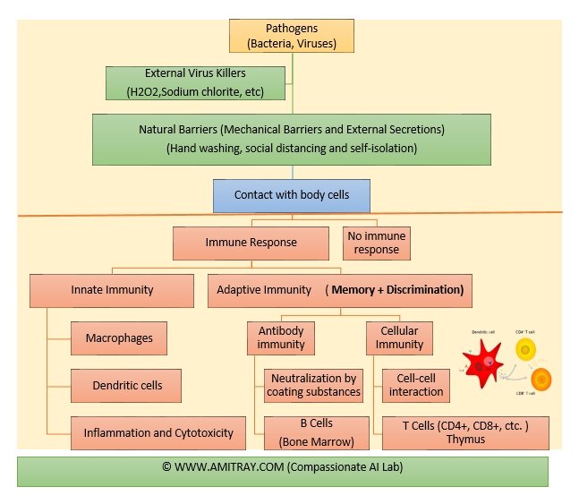 Immune Response Types and 114 Chakras Amit Ray