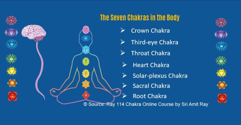 The 7 Chakras in Human Body The Complete Guide
