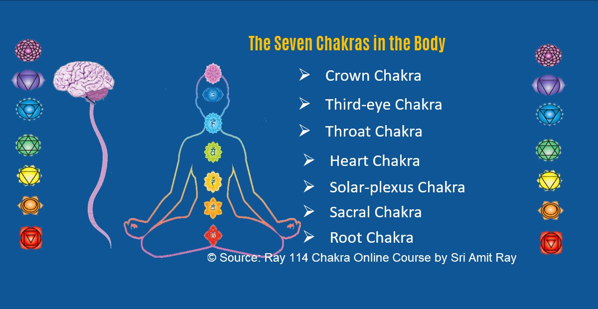 Seven Chakras in human body Amit Ray Teachings