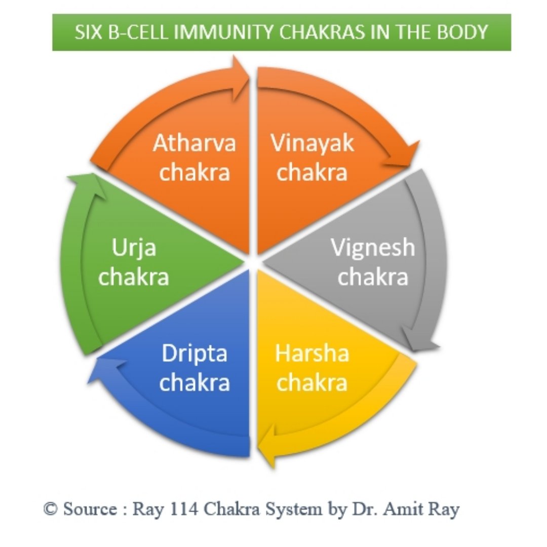 Six B-Cell Immunity Chakras Amit-Ray Teachings