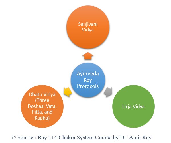 Ayurveda Key Protocols