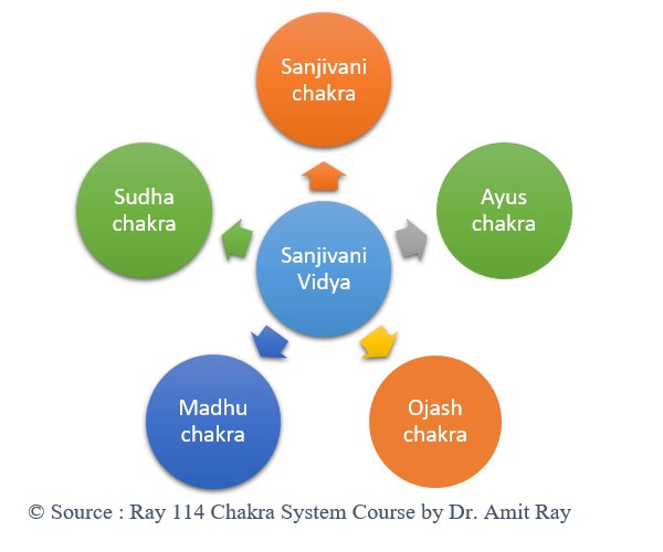 Sanjivani Vidya Amit Ray Teachings