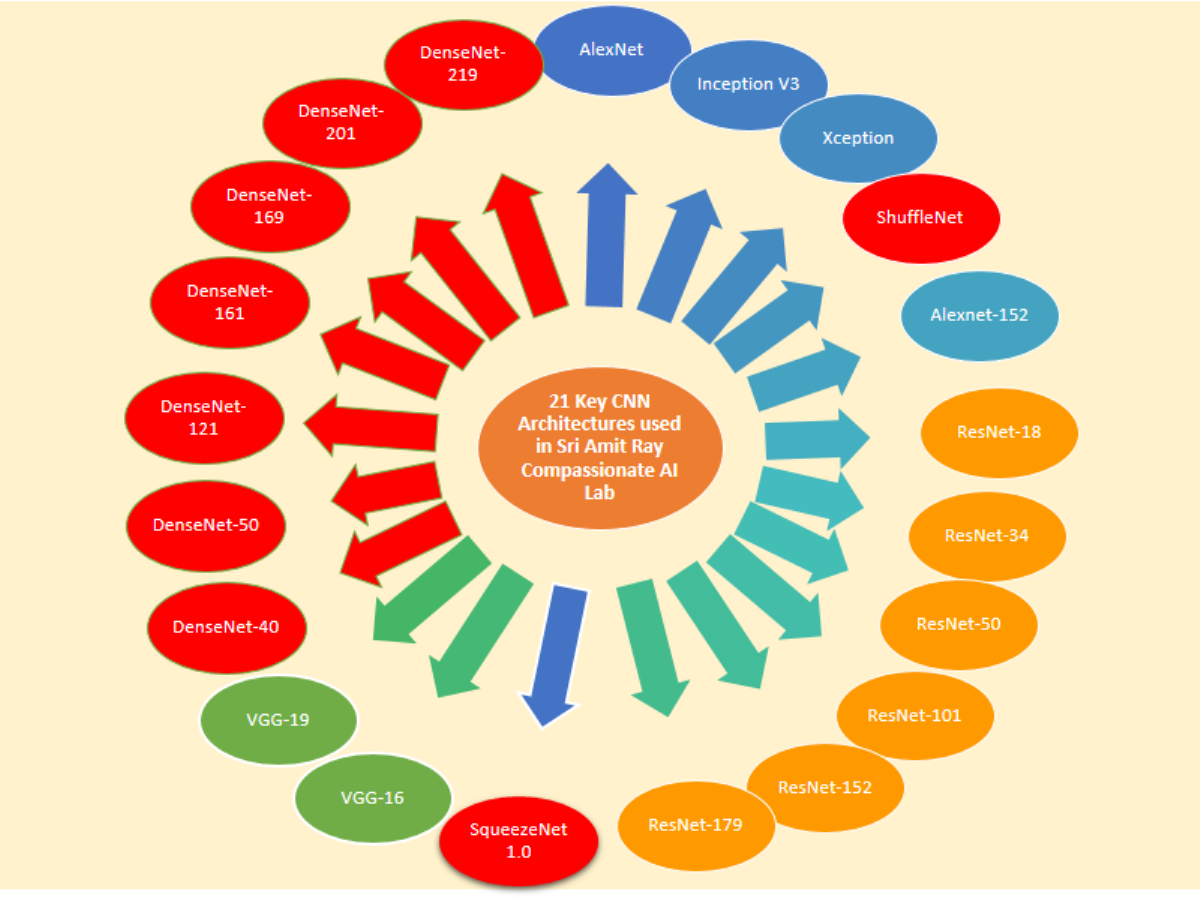 Transfer Learning Models
