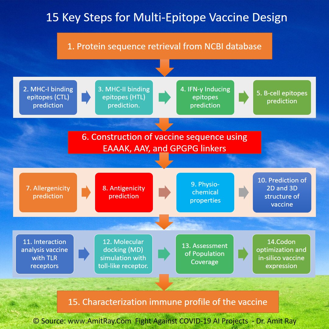 15 Key Steps for Multi Epitope Vaccine Design Amit Ray Teachings