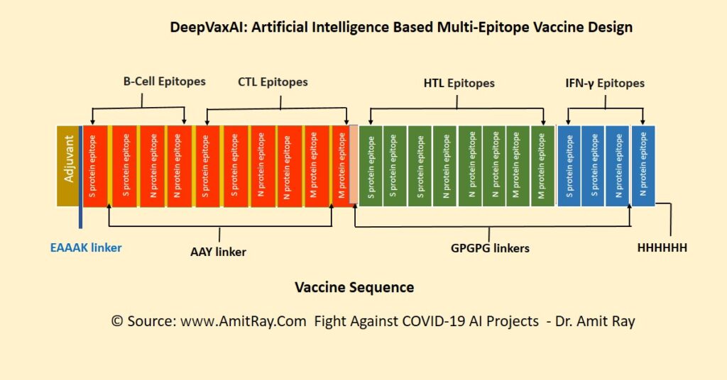 COVID Vaccine Sequence with HTL CTL B-Cell epitopes
