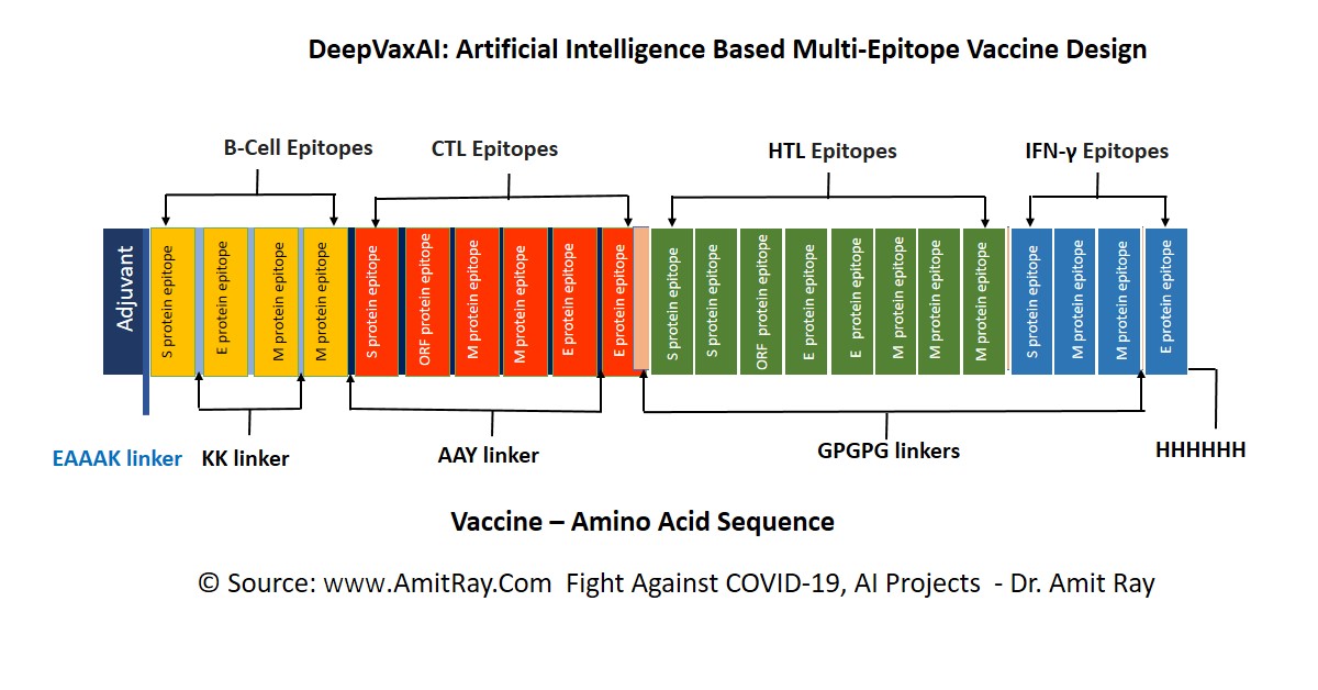 SARS-CoV-2 (COVID) Vaccine Amino Acid Sequence
