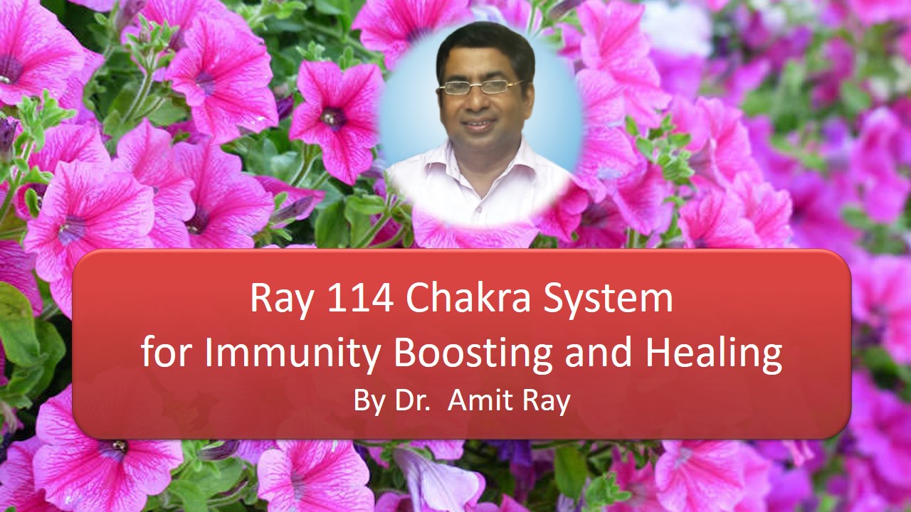 Chakra System for Immunity Boosting Sri Amit Ray Teachings Ray 114 Chakra System for Immunity Boosting Amit Ray Teachings