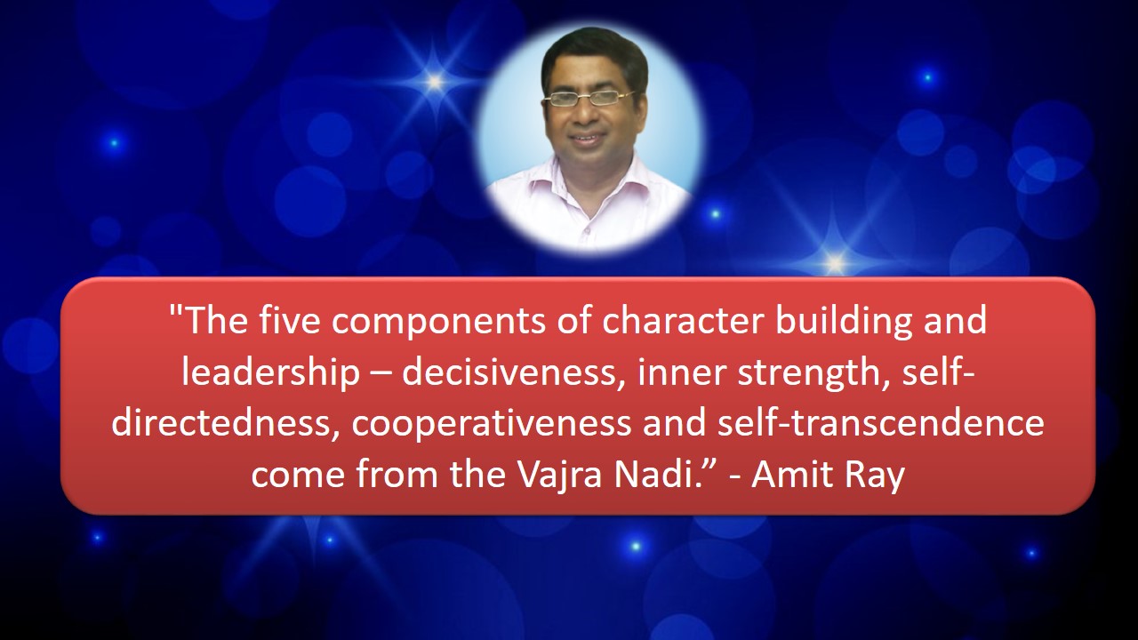 Vajra Nadi Amit Ray Teachings