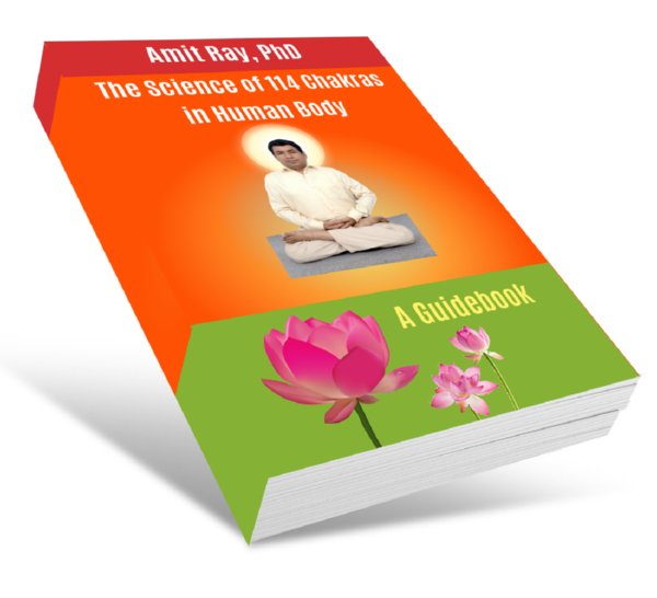 The Science of 114 Chakras in Human Body The Science of 114 Chakras in Human Body