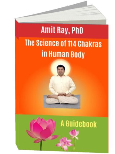 The Science of 114 Chakras in Human Body The Science of 114 Chakras in Human Body