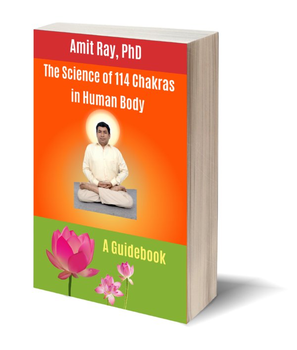 The Science of 114 Chakras in Human Body The Science of 114 Chakras in Human Body pdf By Dr. Amit Ray