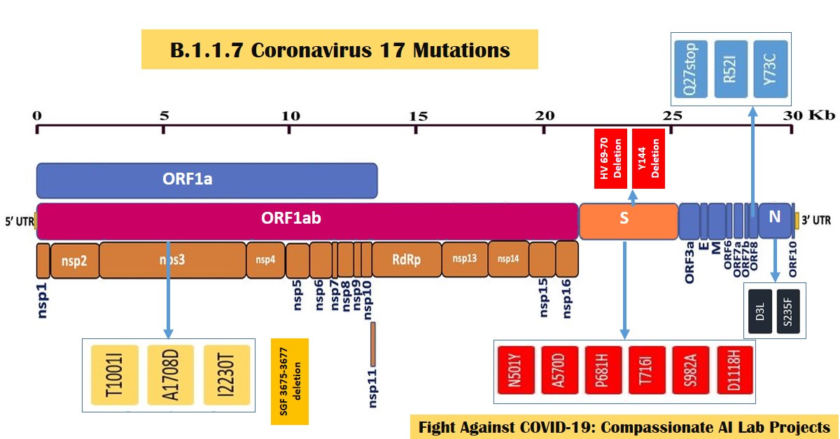 B 1.1.7 Coronavirus Mutations and Genome Sequence