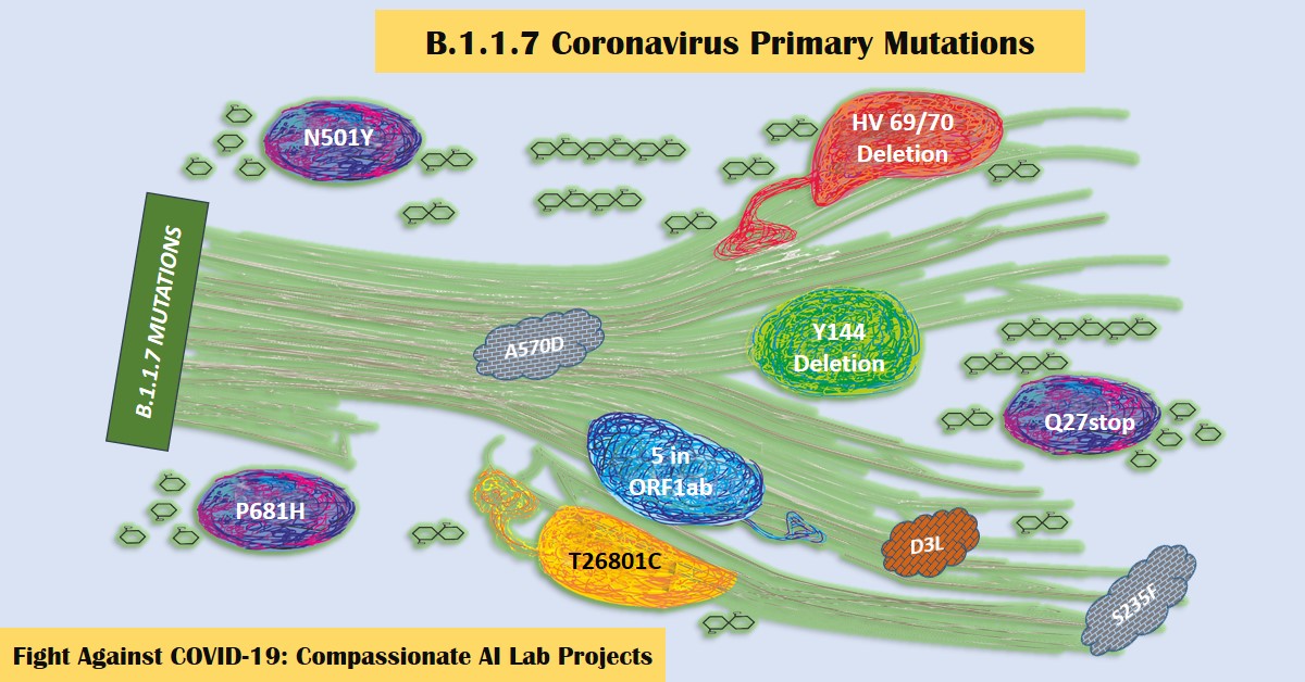 B.1.1.7 New Variant Coronavirus Mutations