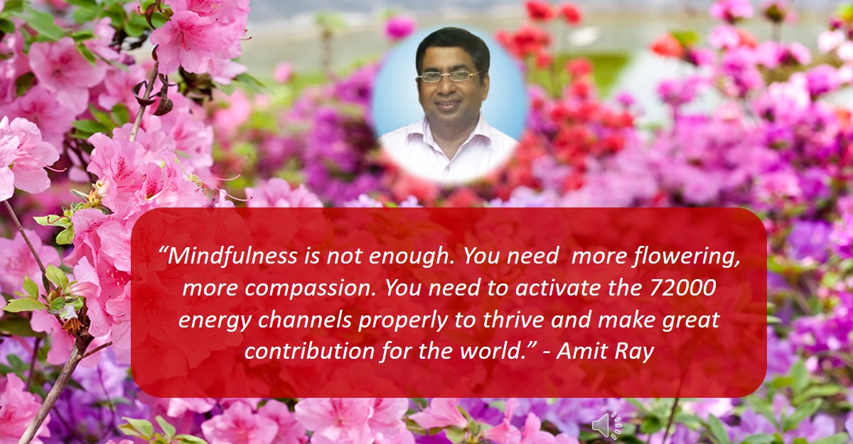 Leadership Mindfulness is not enough you need more Compassion Sri Amit Ray Teachings