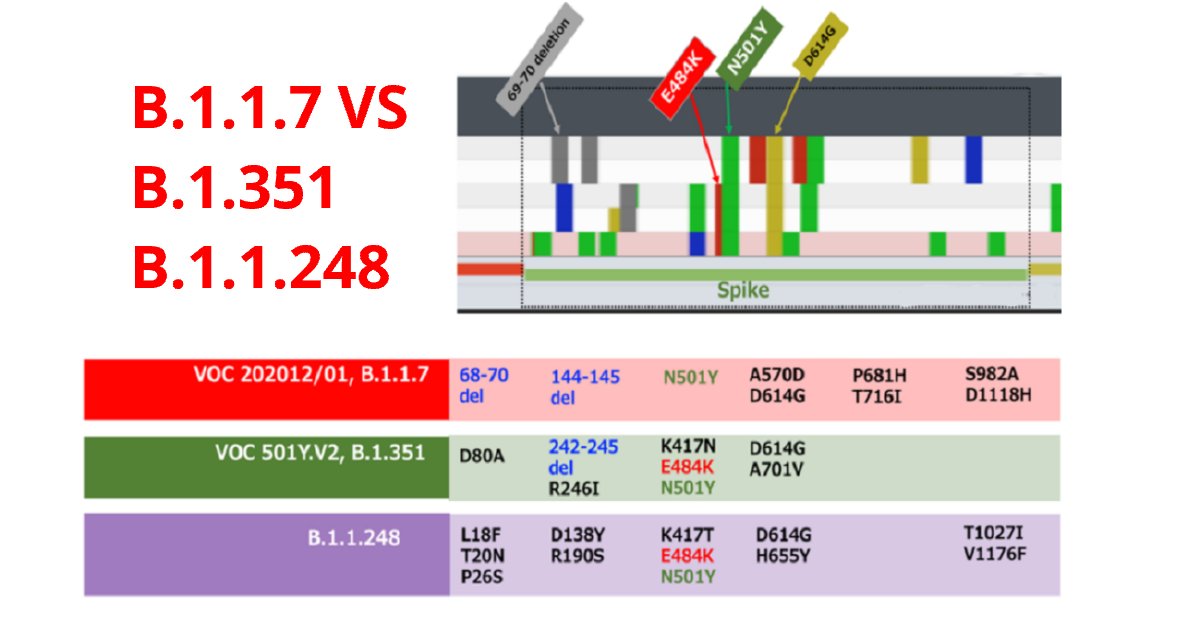 Mutations of B.1.1.7 The New Variant of Coronavirus