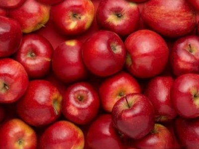 Five Types of Yoga and Ayurvedic Foods: Sattvic, Rajasic and Tamasic