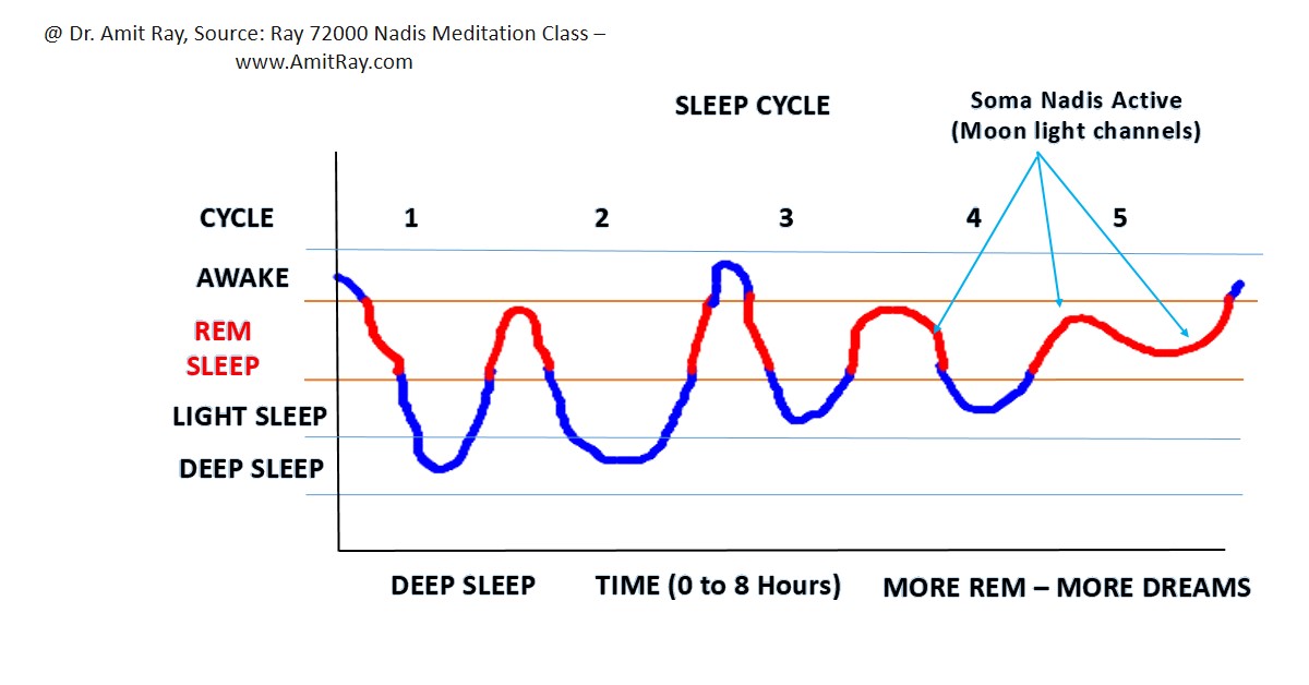 Sleep cycles - REM sleep Sleep cycles - REM sleep