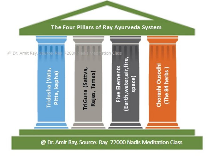 Four Pillars of Ayurveda System  Sri Amit Ray Teachings