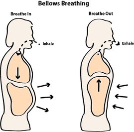 Bhastrika Pranayama Bhastrika Pranayama