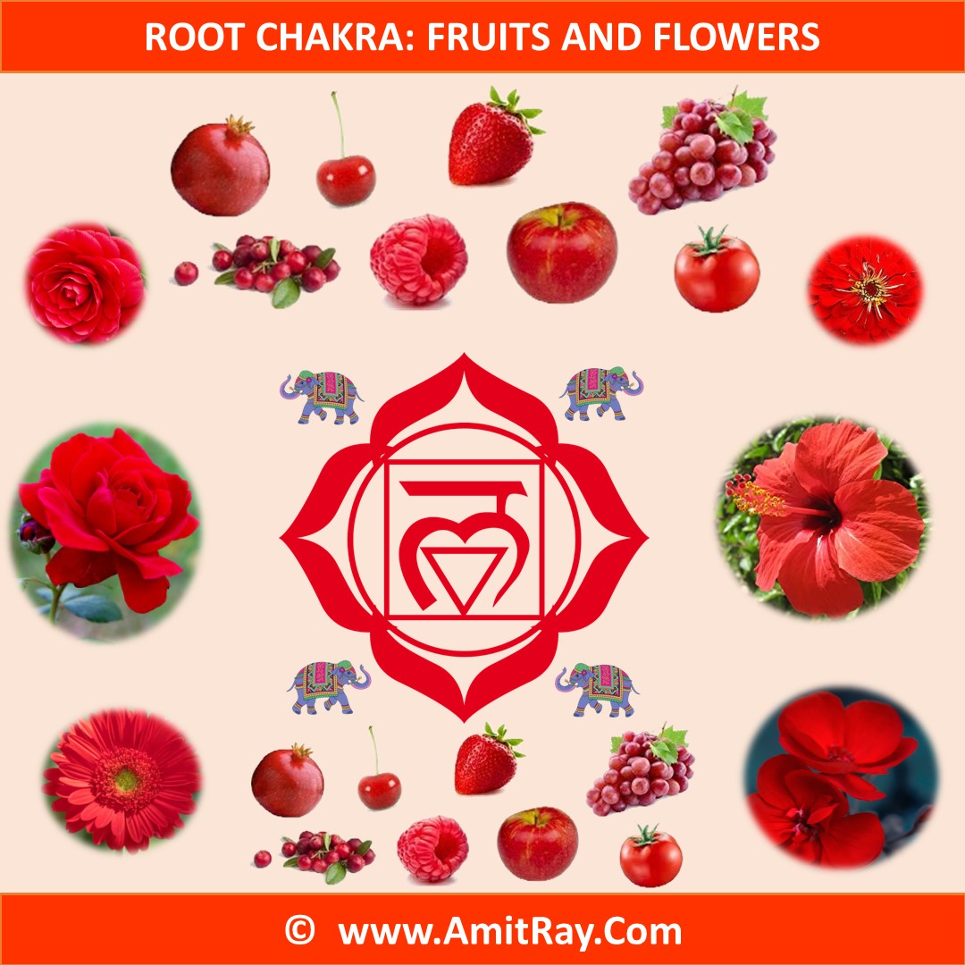 Root Chakra Fruits and Flowers