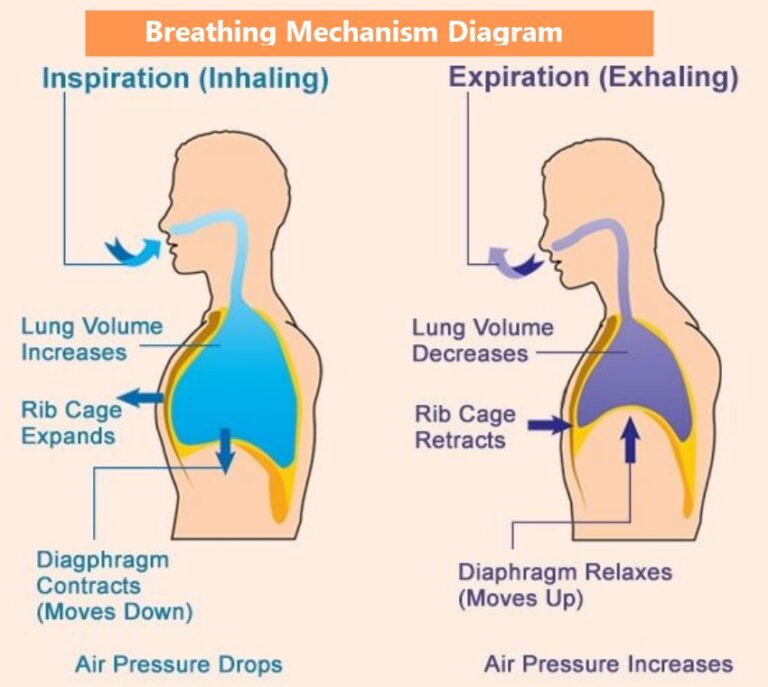 Sri Amit Ray Yoga Resistance Breathing for Respiratory Muscle Training