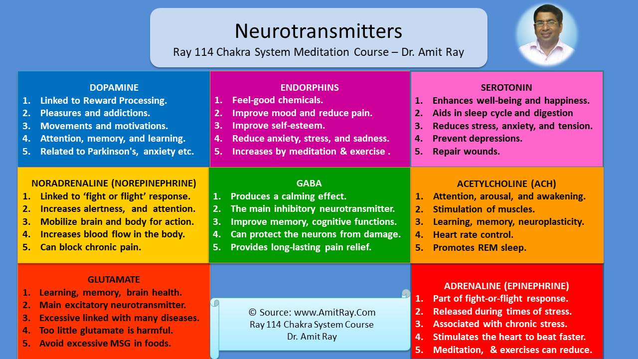 List of Neurotransmitters and their Functions List of Neurotransmitters and their Functions