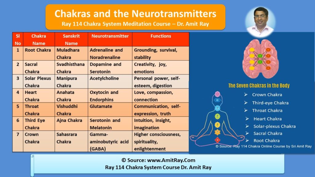 Neurotransmitters and Your Seven Chakras: Balancing Your Body, Mind, and Brain