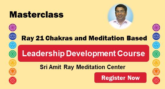 Leadership Values and Principles: The Power of  Your 114 Chakras
