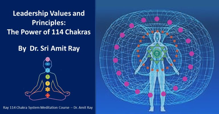 Leadership Values and Principles: The Power of  Your 114 Chakras