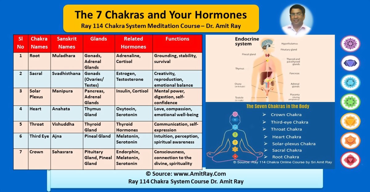 The Seven Chakras and Your Glands and Hormones