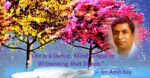 Life is a Dance. Mindfulness is Witnessing that Dance - Sri Amit Ray