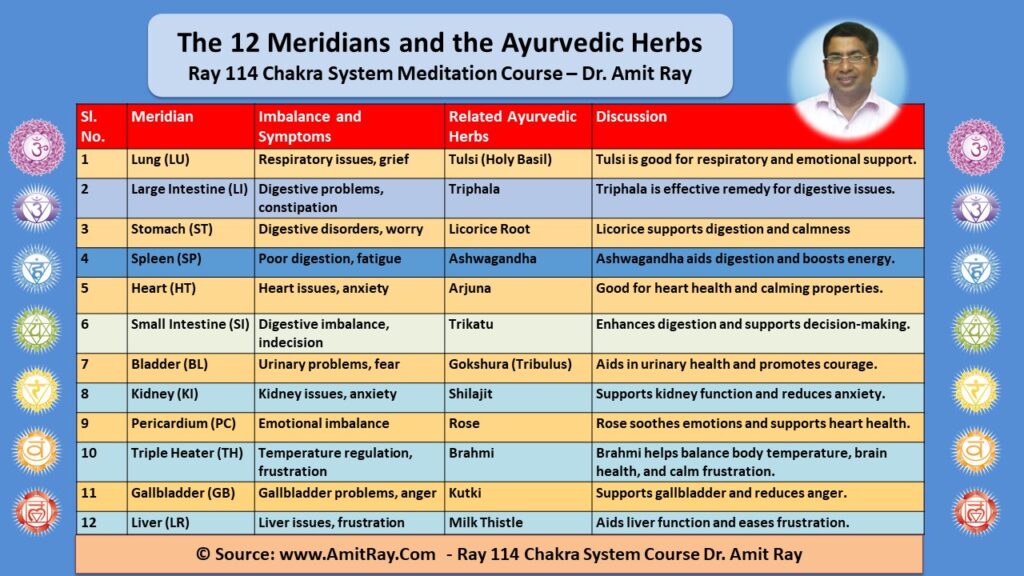 The 12 Meridians, Ayurvedic Herbs and the 72000 Nadis
