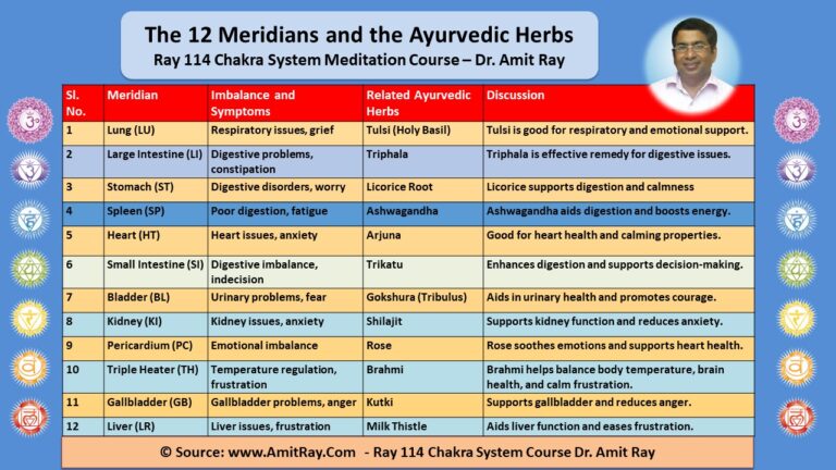 The 12 Meridians, Ayurvedic Herbs and the 72000 Nadis