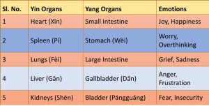 Yin and Yang Organs and your Emotions