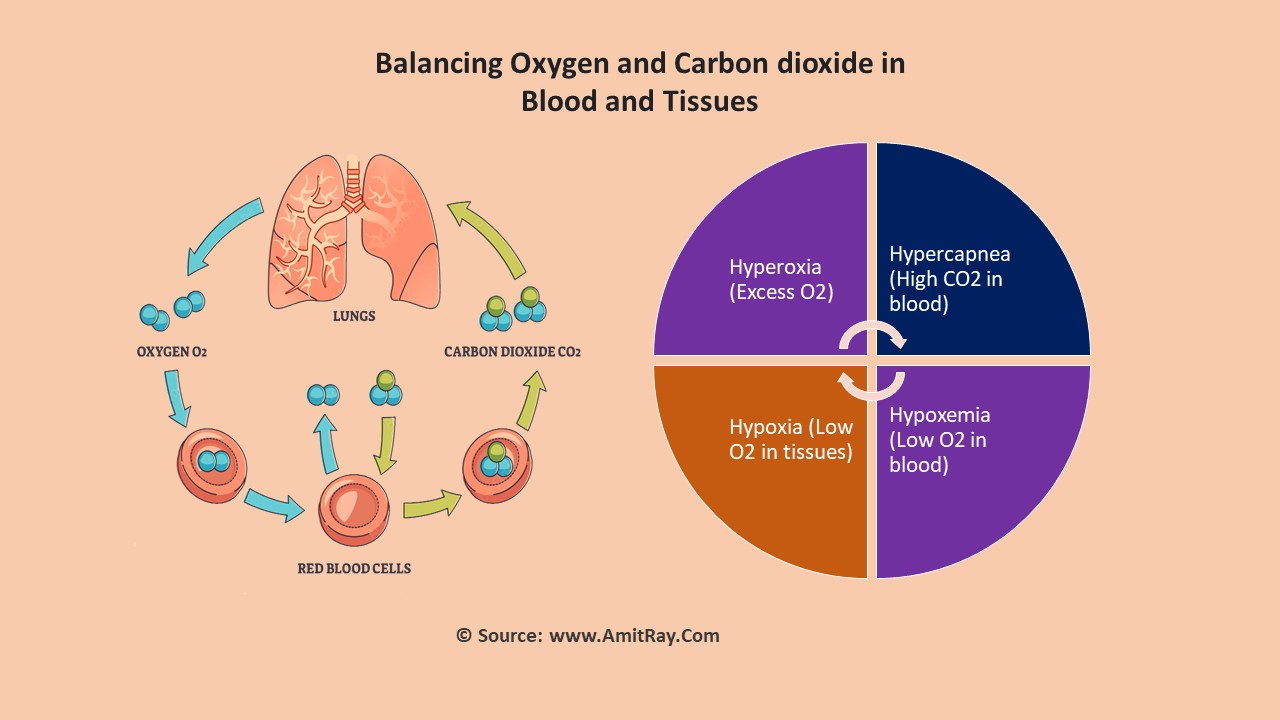 Slow Breathing Yoga Pranayama to Reduce Oxidative Stress