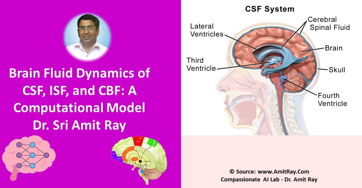 Brain Fluid Dynamics of CSF, ISF, and CBF: A Computational Model