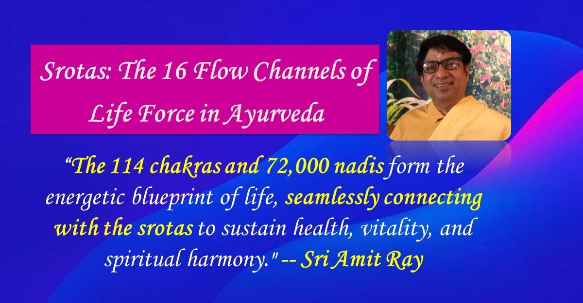 Srotas: The 16 Flow Channels of Life Force in Ayurveda