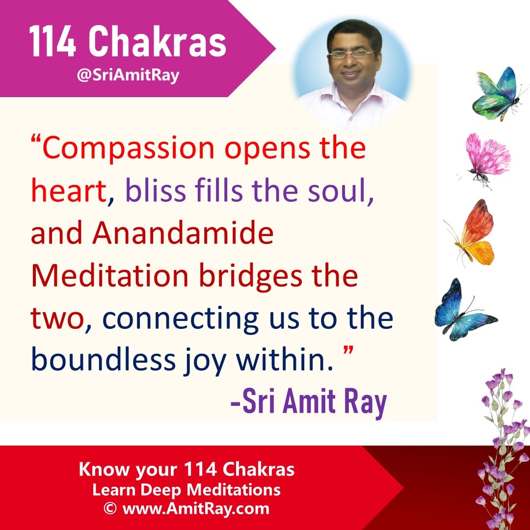 Anandamide Bliss Meditation: The Science and Spirituality of the Bliss Molecule